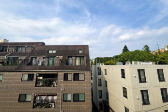 �Z�˂���̒��]�ʐ^�@-