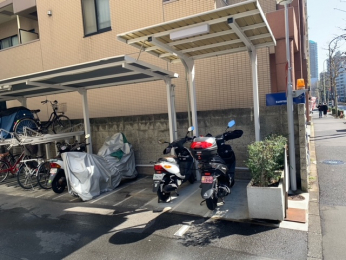 ̑p@oCNu