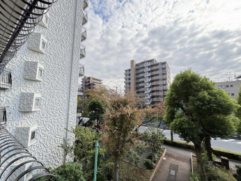 �Z�˂���̒��]�ʐ^�@-