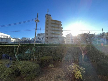 �Z�˂���̒��]�ʐ^�@-