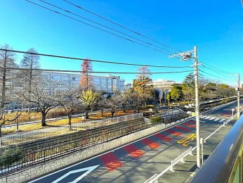 �Z�˂���̒��]�ʐ^�@-