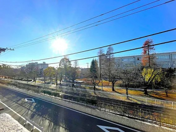 �Z�˂���̒��]�ʐ^�@-