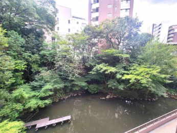 �Z�˂���̒��]�ʐ^�@-