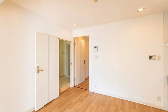 ���r���O�ȊO�̋����@-