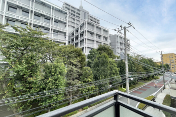 �Z�˂���̒��]�ʐ^�@-