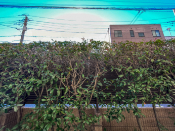 Z˂̒]ʐ^@-