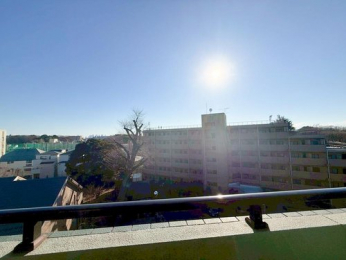 �Z�˂���̒��]�ʐ^�@-