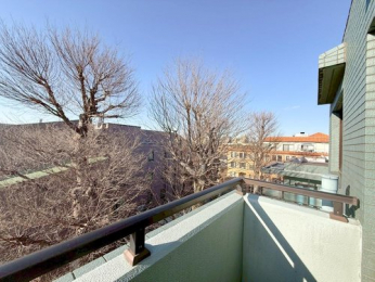 �Z�˂���̒��]�ʐ^�@-