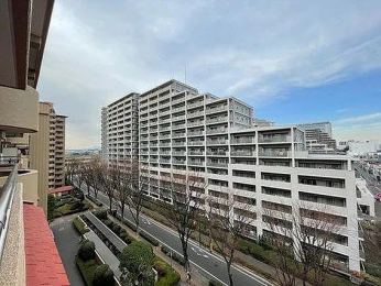 �Z�˂���̒��]�ʐ^�@-