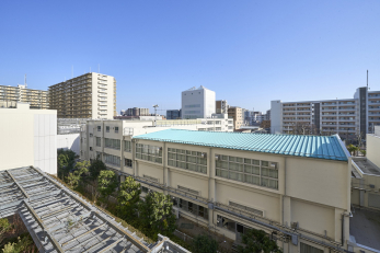 �Z�˂���̒��]�ʐ^�@-