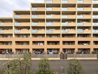 �Z�˂���̒��]�ʐ^�@-