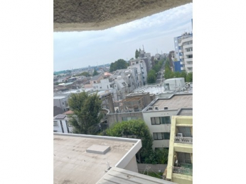 �Z�˂���̒��]�ʐ^�@-