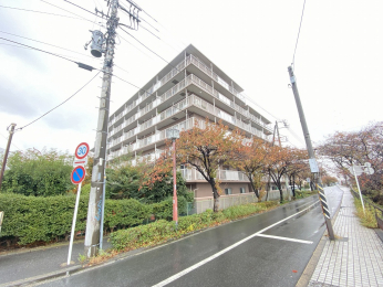 nOώʐ^@-
