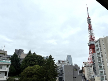 Z˂̒]ʐ^@-