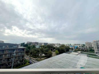 �Z�˂���̒��]�ʐ^�@-