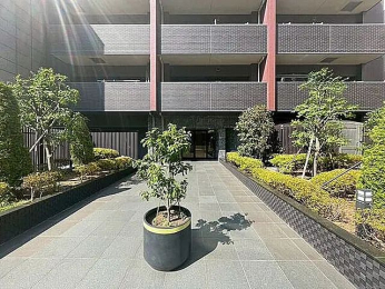 �G���g�����X�@-