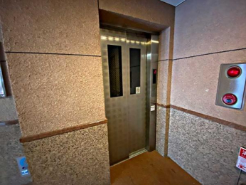 ���̑����p���@�G���x�[�^�[