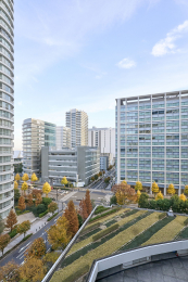 �Z�˂���̒��]�ʐ^�@-