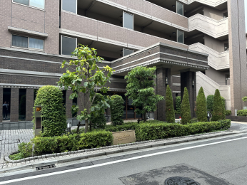 �G���g�����X�@-