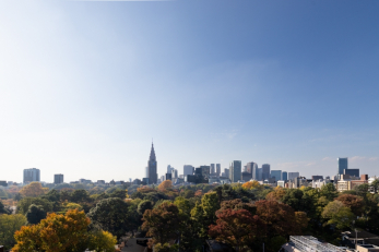 �Z�˂���̒��]�ʐ^�@-