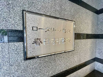 �G���g�����X�@-