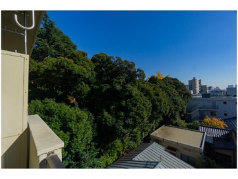 �Z�˂���̒��]�ʐ^�@-