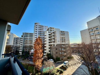 �Z�˂���̒��]�ʐ^�@-