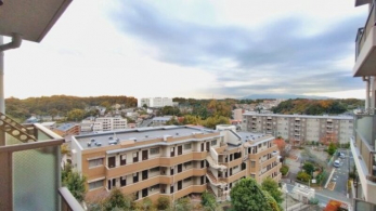 �Z�˂���̒��]�ʐ^�@-