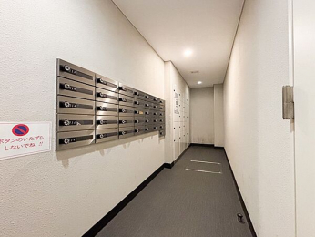 ���̑����p���@���[���{�b�N�X�E��z�{�b�N�X