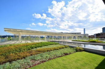 ���̑����p���@-