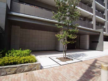 �G���g�����X�@-