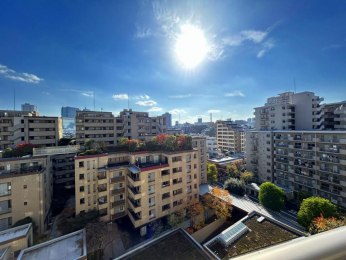 �Z�˂���̒��]�ʐ^�@-