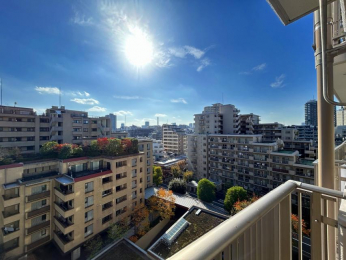 �Z�˂���̒��]�ʐ^�@-