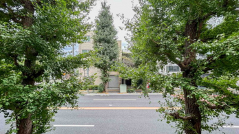 �Z�˂���̒��]�ʐ^�@-