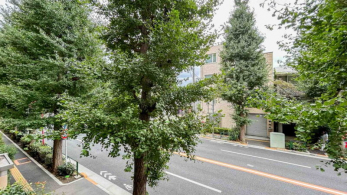 �Z�˂���̒��]�ʐ^�@-