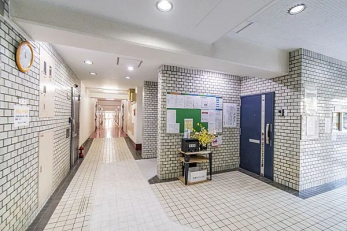 ���̑����p���@-