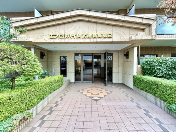 �G���g�����X�@-