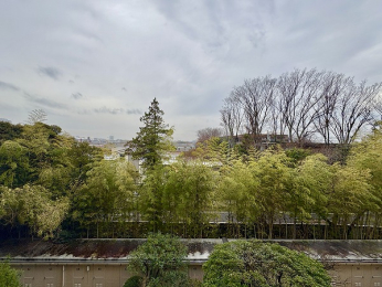 �Z�˂���̒��]�ʐ^�@-