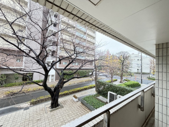 �Z�˂���̒��]�ʐ^�@-