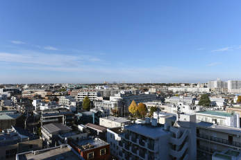 �Z�˂���̒��]�ʐ^�@-