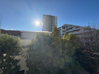 �Z�˂���̒��]�ʐ^�@-