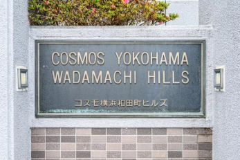 �G���g�����X�@-