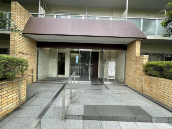 �G���g�����X�@-