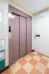 ���̑����p���@�G���x�[�^�[