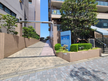 �G���g�����X�@-