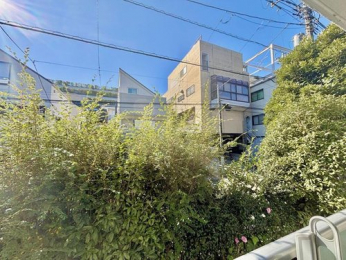 �Z�˂���̒��]�ʐ^�@-