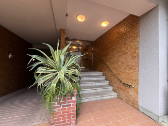 �G���g�����X�@-