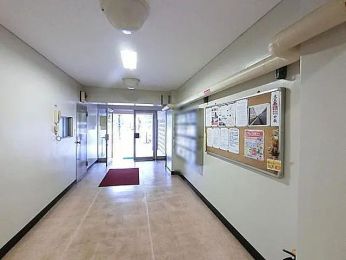 ���̑����p���@-