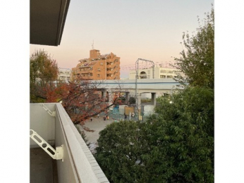 �Z�˂���̒��]�ʐ^�@-