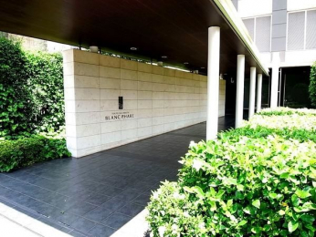 �G���g�����X�@-